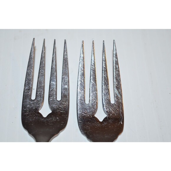 Oneida Stainless SUMMER MIST Salad Forks 6 1/8" Wm A Rogers AUTUMN GLOW 2 pc set - Picture 5 of 8